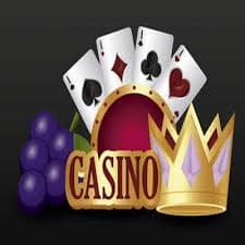 Live Koprok dealer at qt777 apk studio rolling dice with multi-camera broadcast setup